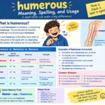 humerous