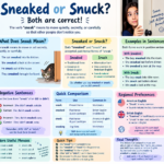 Sneaked or Snuck